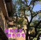 台中清潔公司推薦